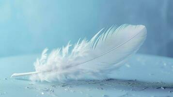 a bright blue background with one white feather, in the style of soft and dreamy pastels, glimmering light effects, nature inspired imagery, fairycore, soft focal points, generate ai photo