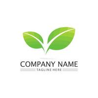 Tree leaf vector and green logo design friendly concept