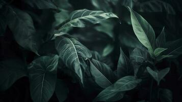 Abstract dark green surface of leaves natural floral background, generate ai photo