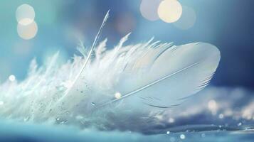 a bright blue background with one white feather, in the style of soft and dreamy pastels, glimmering light effects, nature inspired imagery, fairycore, soft focal points, generate ai photo