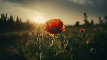 A stunning photo captures the golden hour in a field of radiant red poppies, symbolizing the beauty, resilience, and strength of nature, generate ai