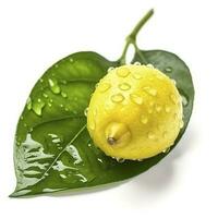 Citrus Lemon leaf with water drops isolated on white background, generate ai photo