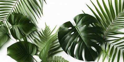 Tropical palm leaves and swiss cheese plant isolated on white background , generate ai photo