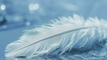 a bright blue background with one white feather, in the style of soft and dreamy pastels, glimmering light effects, nature inspired imagery, fairycore, soft focal points, generate ai photo