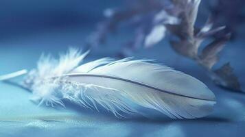 a bright blue background with one white feather, in the style of soft and dreamy pastels, glimmering light effects, nature inspired imagery, fairycore, soft focal points, generate ai photo