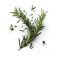 Fresh green organic rosemary leaves and pepper isolated on white background. natural transparent shadow, Ingredient, spice for cooking. collection for design, generate ai photo