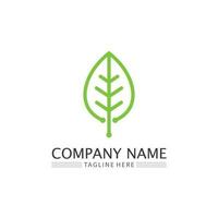 Tree leaf vector and green logo design friendly concept