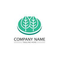 Tree leaf vector and green logo design friendly concept