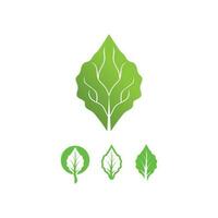 Logotipo de árbol de hoja y naturaleza para diseño de ecología de planta verde de vector de negocio