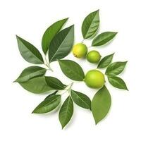 Fresh lemon with green leaves isolated on white background, generate ai photo