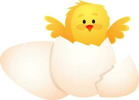 amarillo recién nacido pollo pájaro en lustroso roto huevo. vector