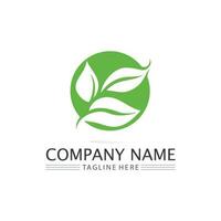 Tree leaf vector and green logo design friendly concept