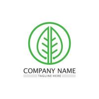 Tree leaf vector and green logo design friendly concept