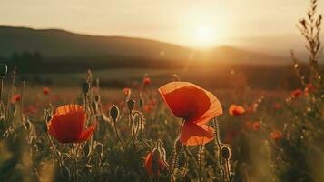 un maravilloso foto capturas el dorado hora en un campo de radiante rojo amapolas, simbolizando el belleza, resiliencia, y fuerza de naturaleza, generar ai