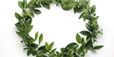 green plant and leaves frame isolated on white background,  for wedding invitations and greeting cards, generate ai photo