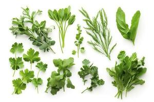 Collection of fresh herb leaves. arugula Spices, herbs on isolated on white background, generate ai photo