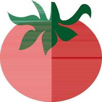 Illustration of a red tomato. vector