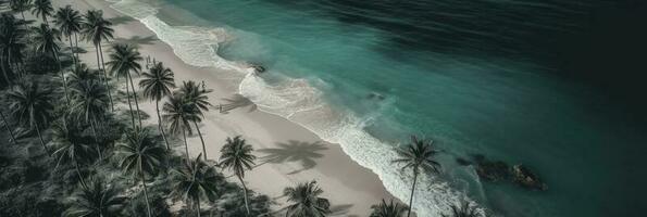 BHanner size. View from above, stunning aerial view of palms on the sandy beach. Tropical landscape, blue water, waves, generate ai photo