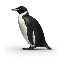 Penguin isolated on white background, generate ai photo