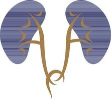 Blue kidney in flat style. vector