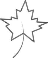 Maple leaf icon in black line art. vector