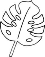 Flat style Monstera Leaf icon in black outline. vector