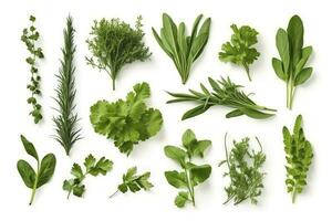 Collection of fresh herb leaves. arugula Spices, herbs on isolated on white background, generate ai photo