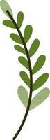 Green leaves in flat style vector