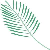 Green fir leaf on white background. vector