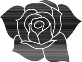 Black and white illustration of Rose flower. vector