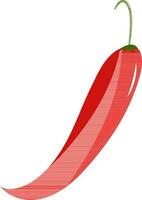 Red chilly on white background. vector