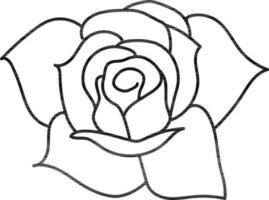 Line art illustration of Rose flower. vector