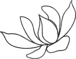 Flat line art illustration of flower. vector