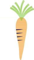 Orange and blue carrot with green leaves. vector