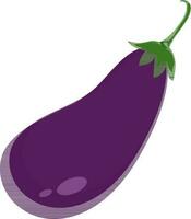 Vector illustration of brinjal in flat style.