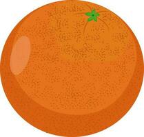 Vector illustration of juicy orange.