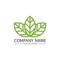 Tree leaf vector and green logo design friendly concept