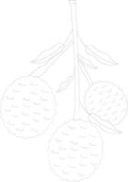 Flat style lychees with leaves in black line art. vector