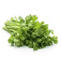 fresh cilantro coriander isolated on white background, generate ai photo