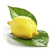 Citrus Lemon leaf with water drops isolated on white background, generate ai photo