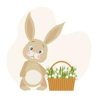 Cute bunny and a wicker basket with snowdrop flowers on a white background. Floral background, card, spring illustration, vector