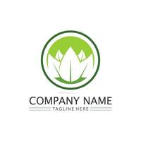 Tree leaf vector and green logo design friendly concept