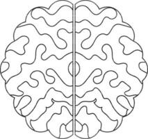 Isolated brain in black line art. vector