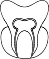 Black line art tooth on white background. vector