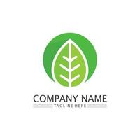 Tree leaf vector and green logo design friendly concept