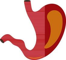 Red and orange stomach in flat style. vector