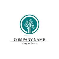 Tree leaf vector and green logo design friendly concept