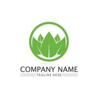 Tree leaf vector and green logo design friendly concept