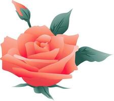 Shiny pink rose flower decorated with green leaves, bud. vector