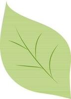 Green leaf on white background. vector